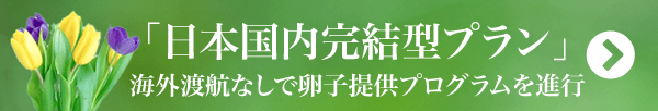 「日本国内完結型プラン」海外渡航なしで卵子提供プログラムを進行”