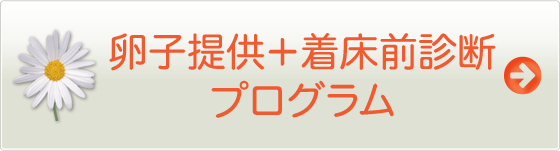 卵子提供＋着床前診断プログラム