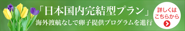 「日本国内完結型プラン」海外渡航なしで卵子提供プログラムを進行