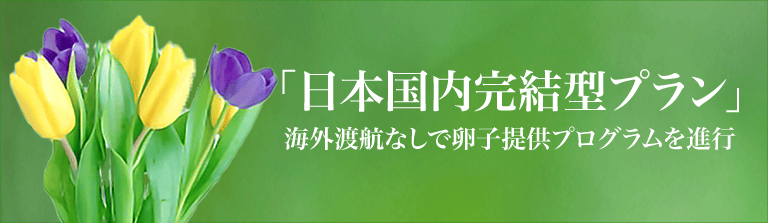 国内完結型プラン：海外渡航なしで卵子提供プログラムを進行