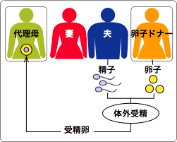 と 代理 は 出産