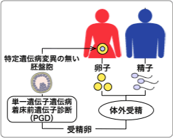 単一遺伝子遺伝病着床前診断(PGD)プログラム